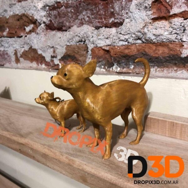 Perro Chihuahua - Imagen 4