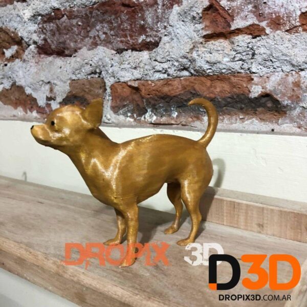 Perro Chihuahua