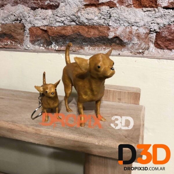 Perro Chihuahua - Imagen 2
