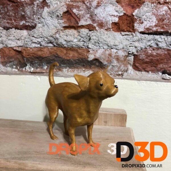 Perro Chihuahua - Imagen 5