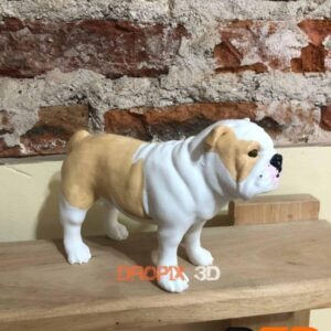 Perro Bulldog Ingles