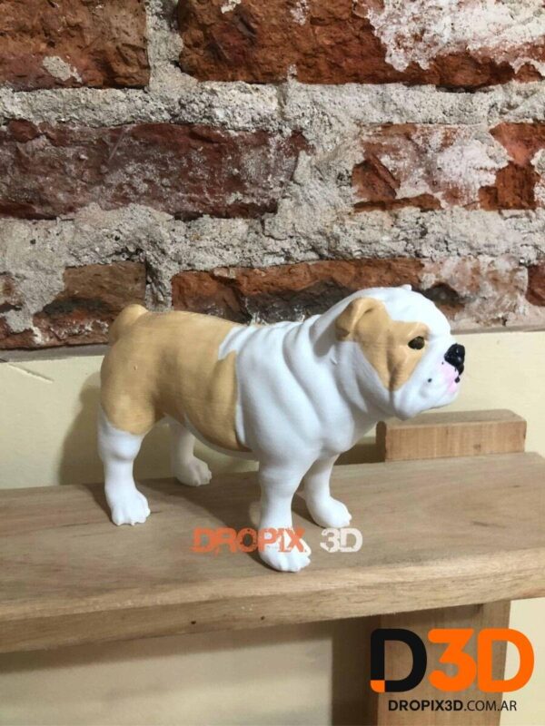 Perro Bulldog Ingles