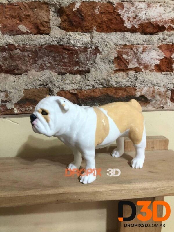 Perro Bulldog Ingles - Imagen 2