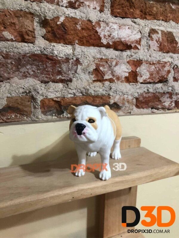 Perro Bulldog Ingles - Imagen 7