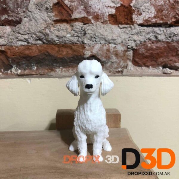 Perro Caniche - Imagen 2