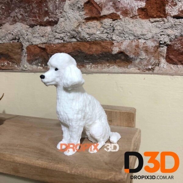 Perro Caniche