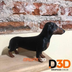 Perro Salchicha