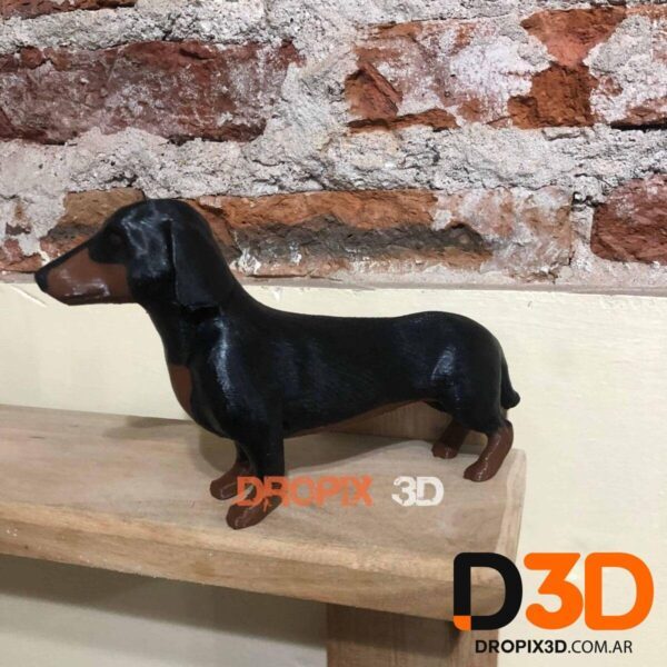 Perro Salchicha - Imagen 3