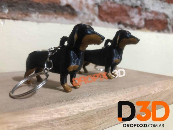 Perro Salchicha - Imagen 8