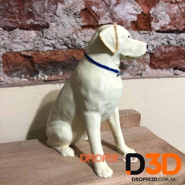 Perro Labrador - Imagen 4