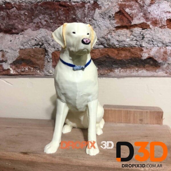 Perro Labrador - Imagen 3