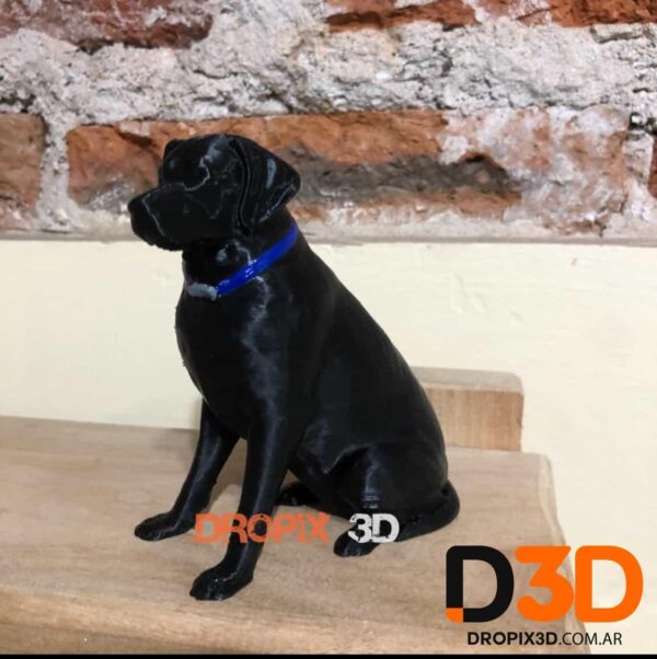Perro Labrador - Imagen 6