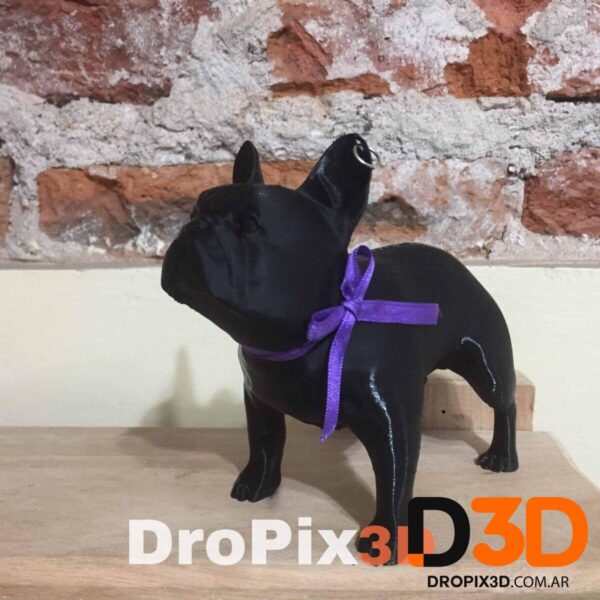 Perro Bulldog Frances - Imagen 5