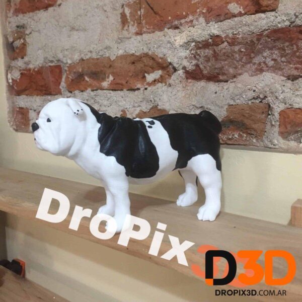Perro Bulldog Ingles - Imagen 3