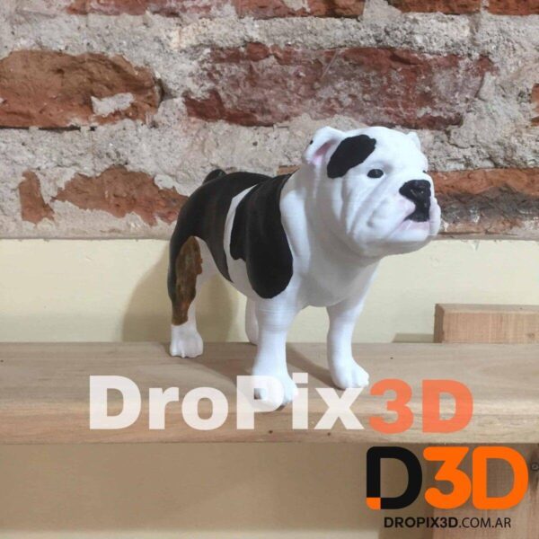 Perro Bulldog Ingles - Imagen 4