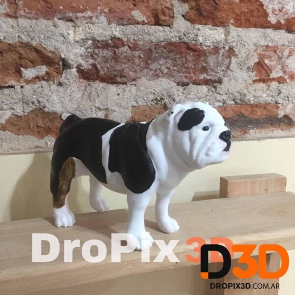 Perro Bulldog Ingles - Imagen 6