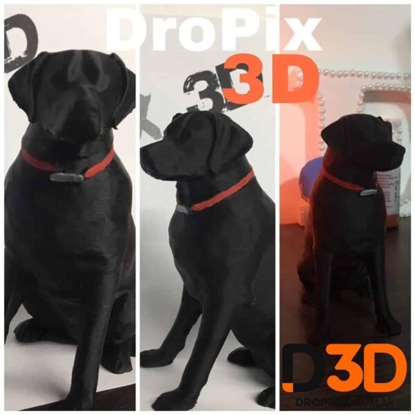 Perro Labrador - Imagen 2