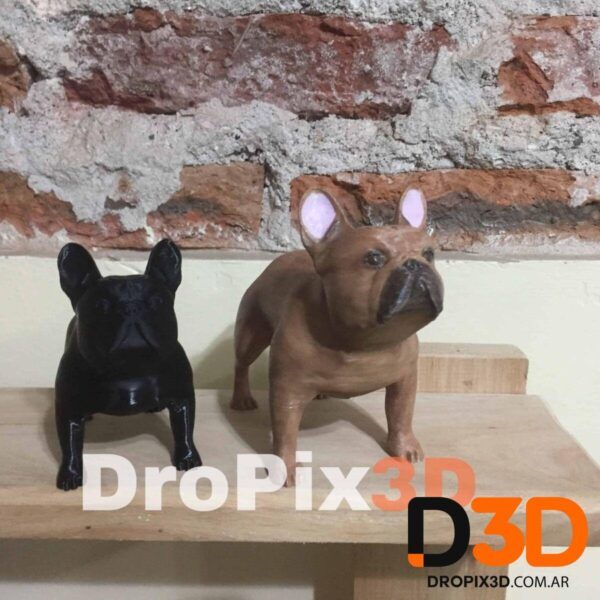 Perro Bulldog Frances - Imagen 6