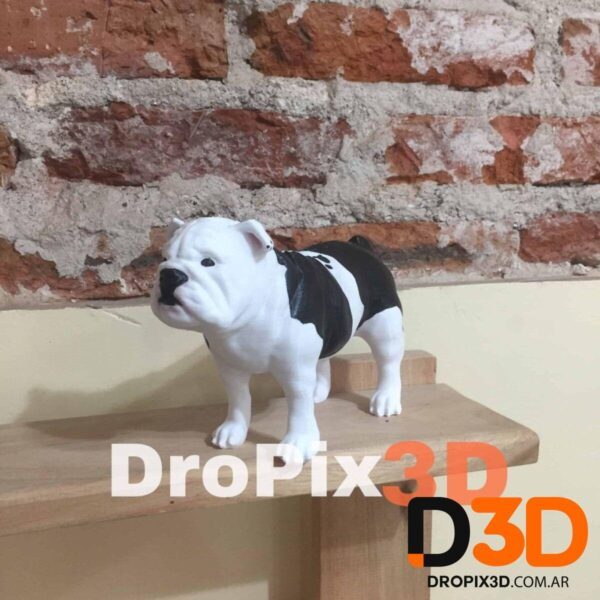 Perro Bulldog Ingles - Imagen 5