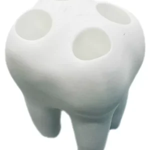 Muela Porta Cepillo