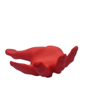 Soporte Pelota Pared Mano