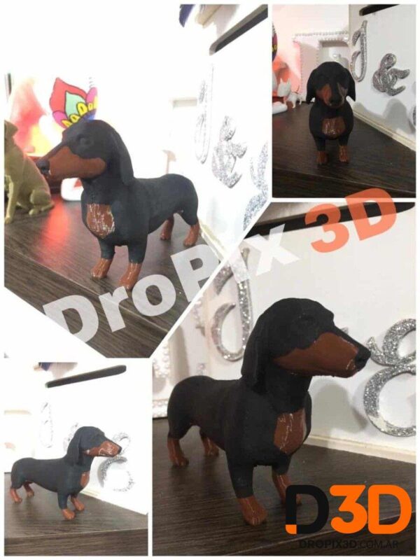 Perro Salchicha - Imagen 6