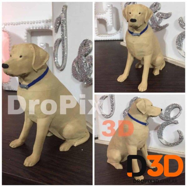 Perro Labrador - Imagen 5